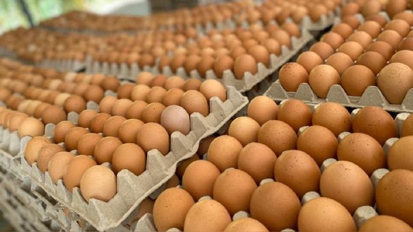 Avisur: advierte incremento en el precio del kilo de&nbsp;huevos