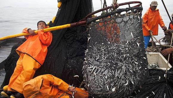 Produce autoriza inicio de primera temporada de pesca de anchoveta en zona&nbsp;norte