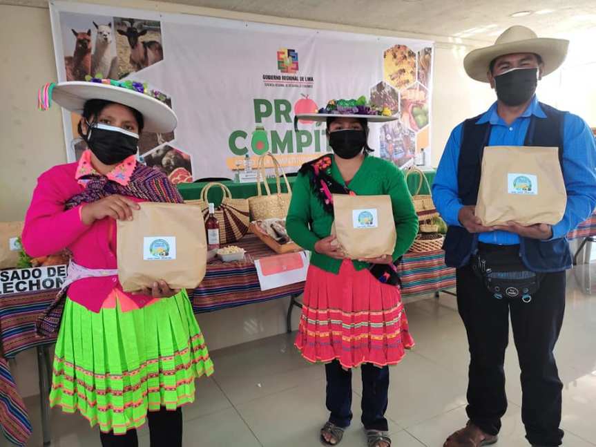 Asociaciones de Huaura, Cajatambo, Huaral, Barranca y Oyón presentan planes de negocio para acceder al Procompite&nbsp;2021