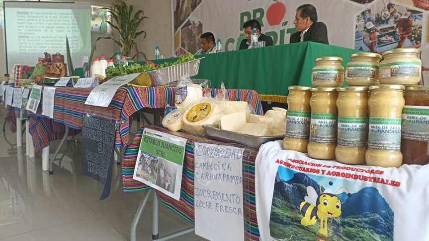 Asociaciones de las provincias de Cañete, Huarochirí, Yauyos y Canta exponen sus planes de negocio como parte del proceso Procompite&nbsp;2021