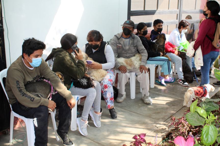 Municipalidad de Huaral realiza campaña de esterilización de&nbsp;canes