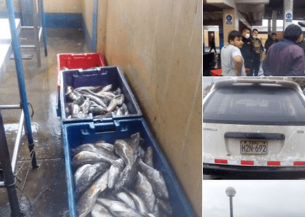 Serenazgo de Chancay recupera mercadería robada en&nbsp;Pativilca