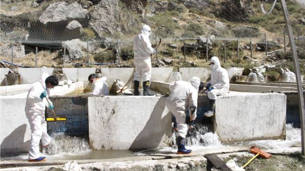 Derrame de zinc: realizan limpieza de piscigranjas y del río&nbsp;Chillón