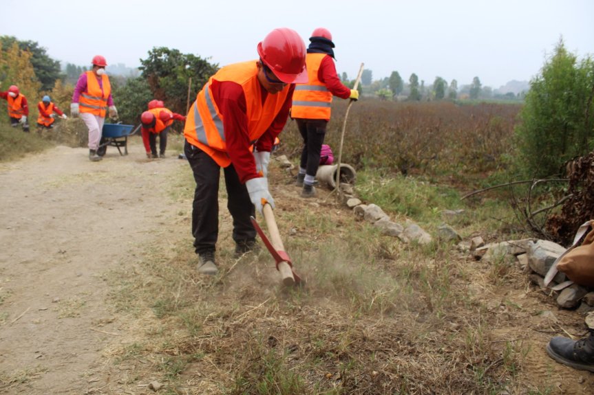 Trabajo de limpieza, mantenimiento y acondicionamiento de la vía de acceso al sitio arqueológico las&nbsp;Shicras