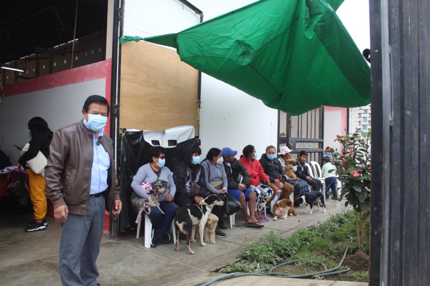 Se realizó campaña gratuita de esterilización de canes y gatos por el 201° Aniversario de la Independencia del&nbsp;Perú