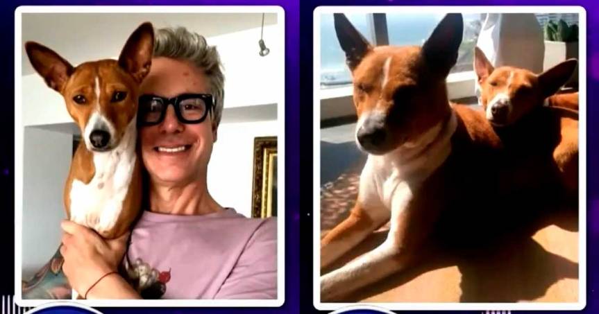 Nana de Diego Bertie sobre denuncias de abandono a perritos: “No vengo todo los&nbsp;días”