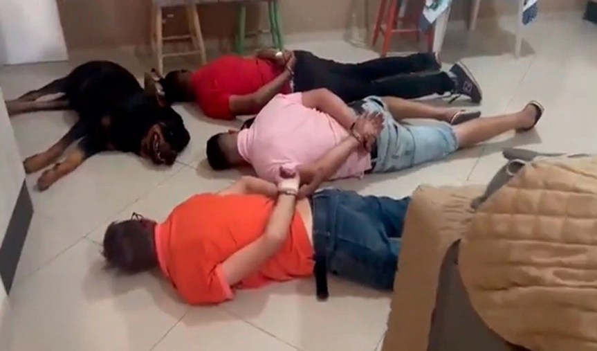 Perrito se tira al suelo y se ‘rinde’ junto a sus dueños criminales tras ser capturados por la&nbsp;Policía