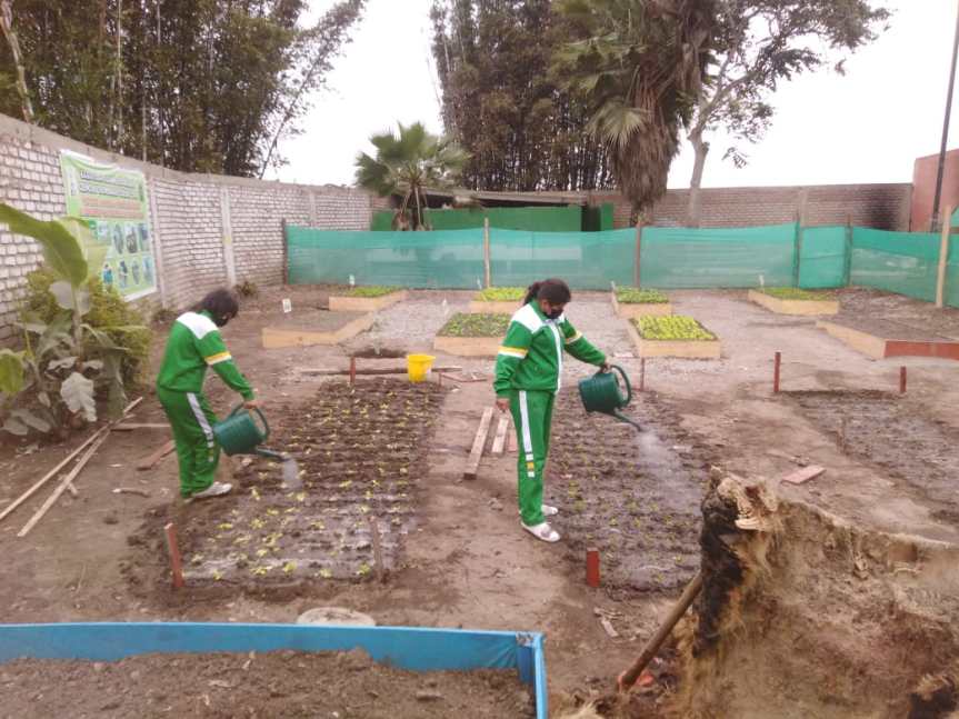 Colquisiri inicia la implementación de biohuertos&nbsp;escolares