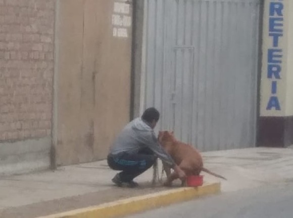 Huacho: dueño de mascota da ejemplo de cómo no ensuciar las calles y se vuelve&nbsp;viral