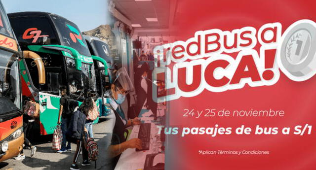 Plataforma online de venta de pasajes en bus venderá boletos a solo S/1 sol a cualquier destino del&nbsp;Perú