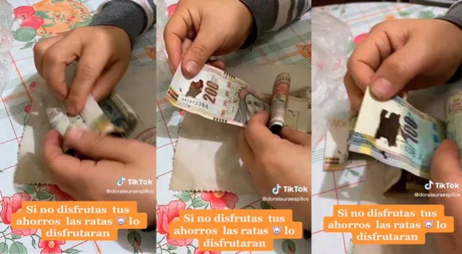 Quiso llevar sus ahorros al banco y descubre que billetes fueron destruidos por ‘polilla’