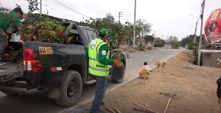 Colquisiri entregó 40 plantaciones a pobladores y directivos del C.P. La Candelaria dentro de la semana de&nbsp;Forestación