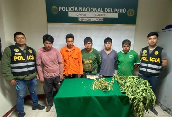 Huacho: fueron presentados los 5 detenidos que resguardaban sembrío de marihuana en&nbsp;Ámbar
