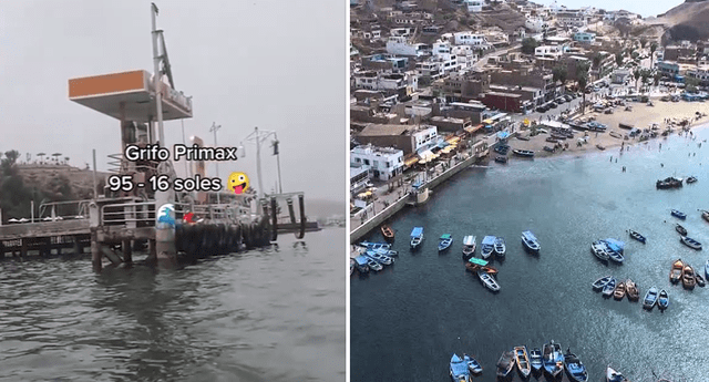 Joven encuentra grifo en «medio del mar» de Pucusana y queda en shock: «Bien&nbsp;barato»