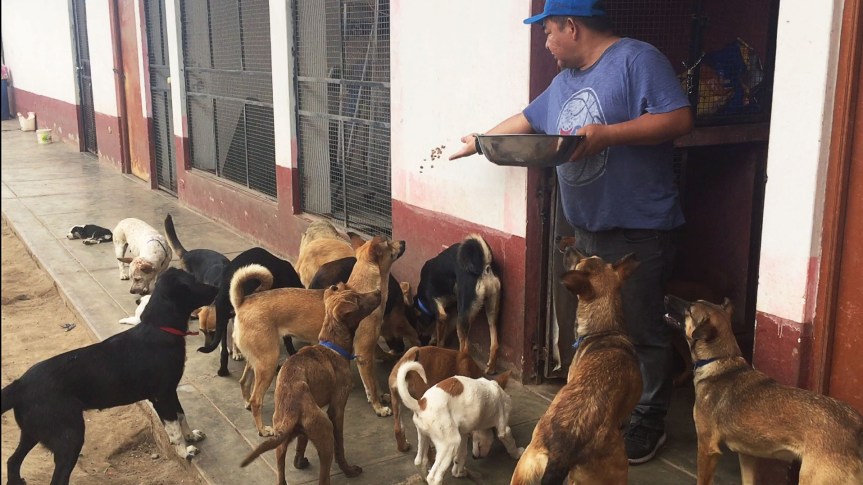 MPH entregó sacos de alimentos al Centro Canino&nbsp;Municipal