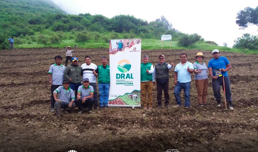 Inician programa de parcelas demostrativas pastos forrajeros en zona altoandinas en el distrito 27 de&nbsp;Noviembre