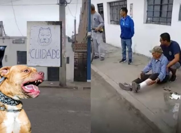 Chancay: anciano de 92 años resultó herido tras ser atacado por dos perros pitbull sin&nbsp;bozal