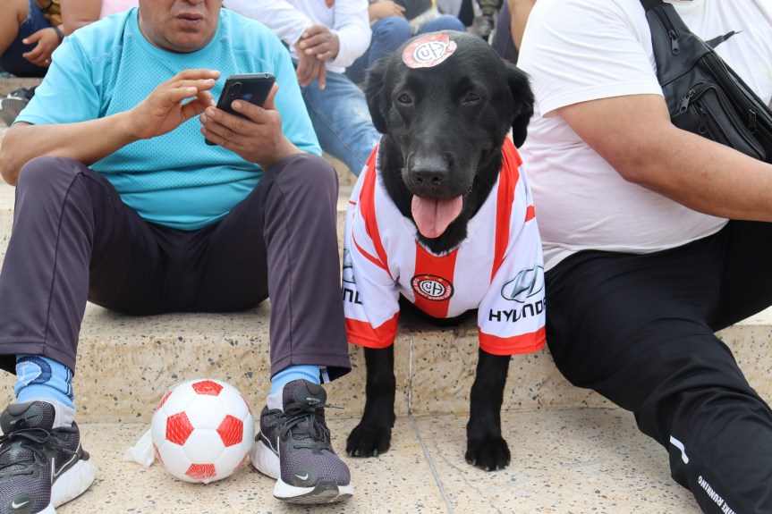 Perrito con camiseta del Unión Huaral ganó el primer lugar del concurso de Disfraces&nbsp;Caninos