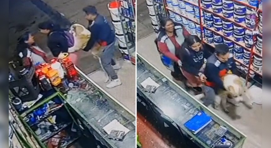 Captan a vendedores de tienda en Tacna bailando con perrito: “Excelente ambiente&nbsp;laboral”