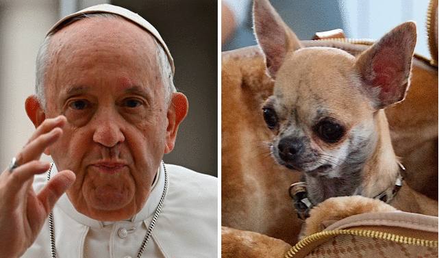 “Hay niños con hambre”: papa Francisco se enojó con mujer por pedirle bendición para su&nbsp;perro