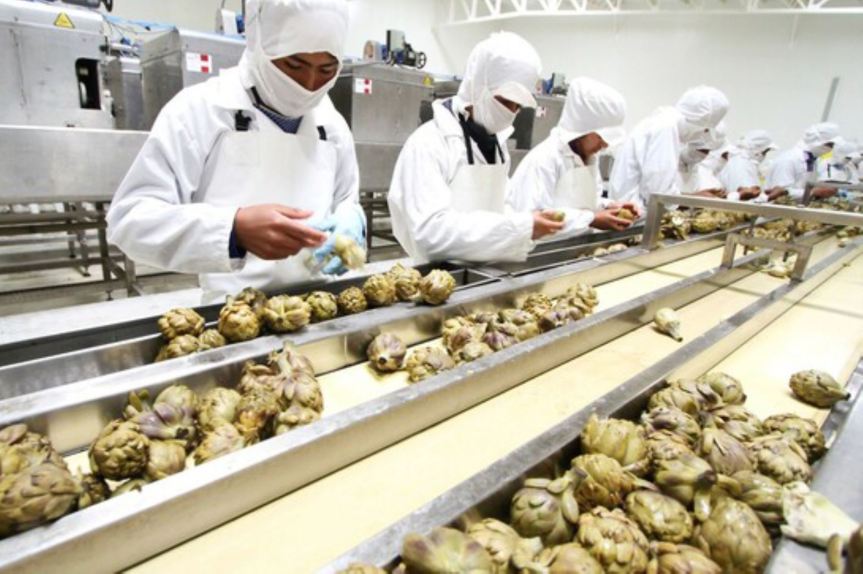 Feriado largo del 29 de junio al 2 de julio: claves para empleados públicos y&nbsp;privados