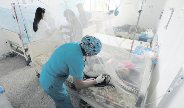 Dengue: el 30% de pacientes con dengue son niños y&nbsp;adolescentes
