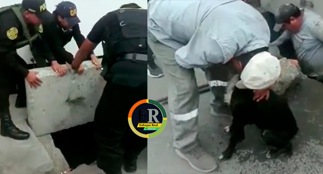 Barranca: rescatan a perro que cayó en canal de regadío en&nbsp;Pativilca