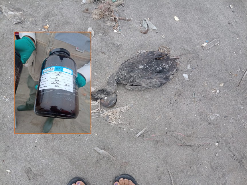 OEFA monitorea playas de Chancay para verificar en ellas la presencia de&nbsp;petróleo