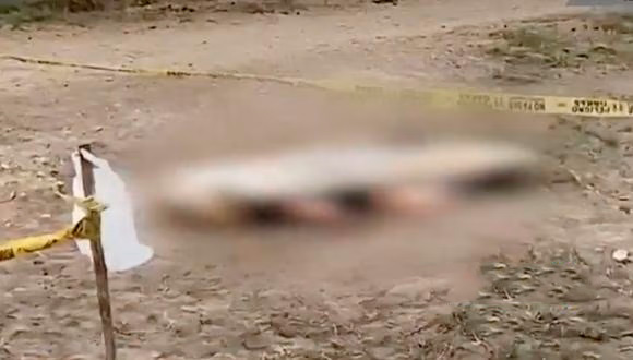 Huaral: joven venezolana fue brutalmente asesinada por integrantes del “Tren&nbsp;Aragua”