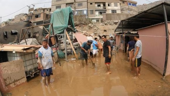 Fenómeno El Niño: Senasa advierte que podrían aparecer 5&nbsp;plagas