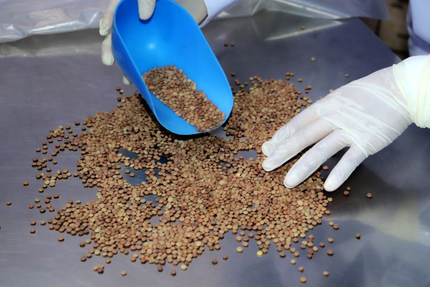 MPH iniciará este miércoles entrega de remesas alimentarias para 58 comedores&nbsp;populares