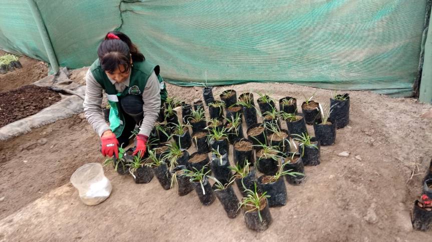 Escolares del «Hogar Infantil» fueron capacitados en el cultivo y cuidado de plantas en visita al Vivero&nbsp;Municipal