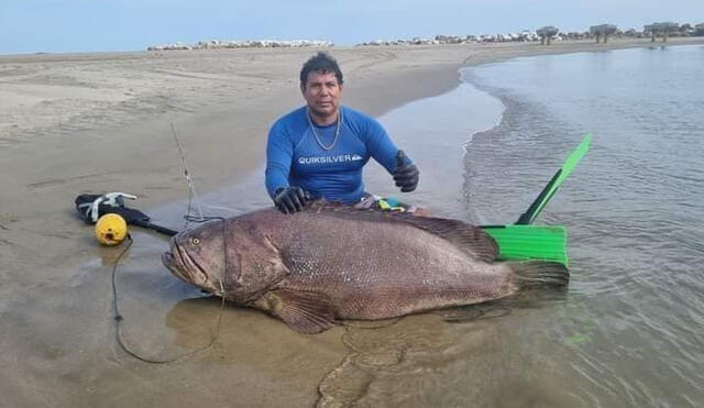 ¡Qué tal récord!: pescan mero de 195 kilos en mar de&nbsp;Tumbes
