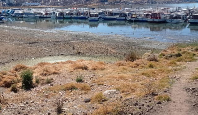 ¡Alerta! Aguas del lago Titicaca continúan en descenso: «Dios mío,&nbsp;ayúdennos»