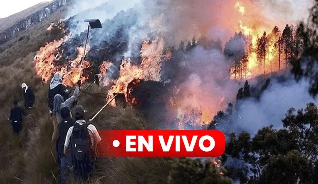 Incendio forestal en Apurímac EN VIVO: confirman tercer fallecido por siniestro en&nbsp;Ihauyllo