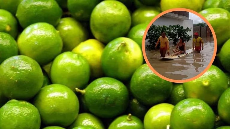 Precio del limón seguirá en alza hasta&nbsp;diciembre