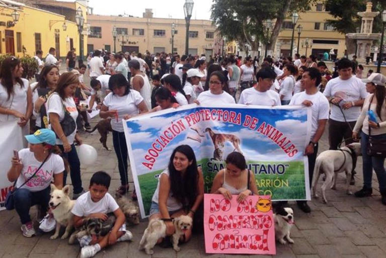 Protestan tras liberación de sujeto acusado de abusar de una perrita en&nbsp;Tumbes
