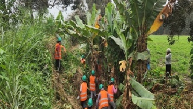 En Huaral concluyen labores de limpieza y mantenimiento en 80 canales de riego con supervisión de la ANA del&nbsp;Midagri