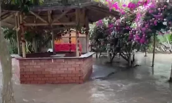 Desborde del río Mala amenaza cultivos y negocios en el distrito de&nbsp;Calango