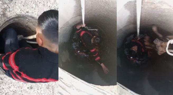 Sereno salva a perrito de morir: se encontraba atrapado en&nbsp;desagüe