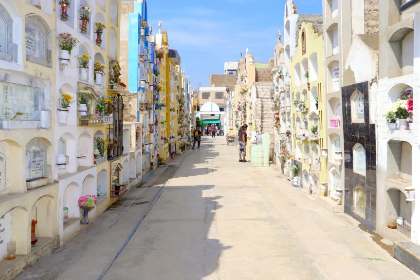 Se inició campaña «Cementerio seguro sin&nbsp;dengue»