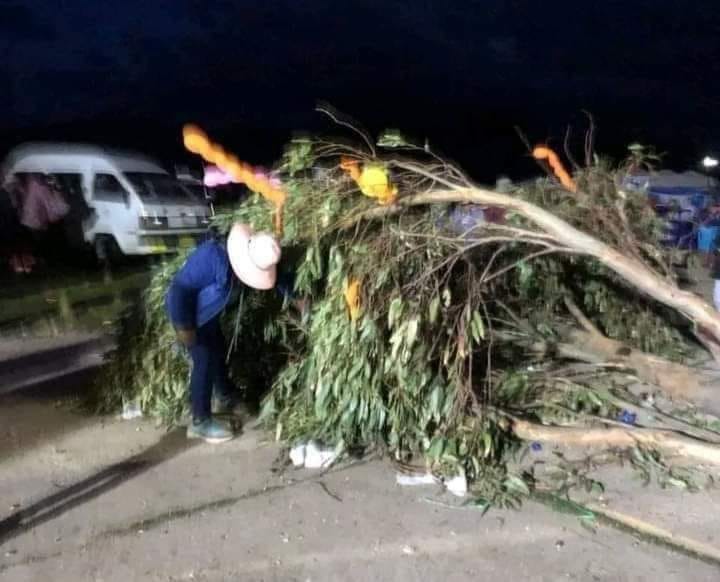 Árbol de yunza cae sobre un hombre y provoca su muerte en&nbsp;Azángaro