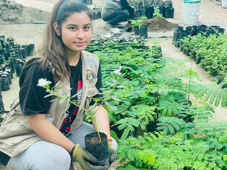 Continúan las labores en Vívero Municipal de Huaral para el cuidado del medio&nbsp;ambiente