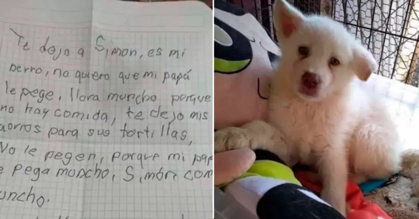 Niño deja a su perrito en albergue para que su papá no le pegue: «Lo extraño&nbsp;tanto»