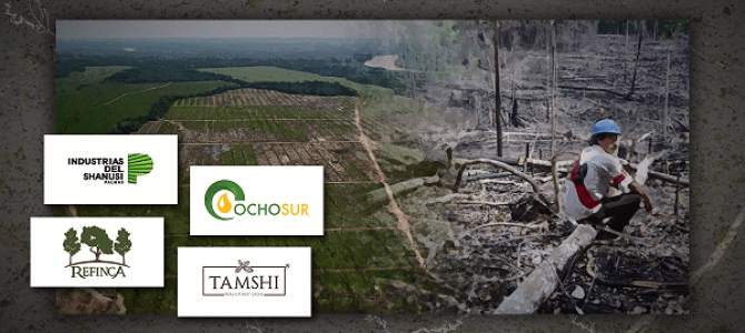 Convocan marcha nacional para exigir la derogación de la “Ley&nbsp;Antiforestal”