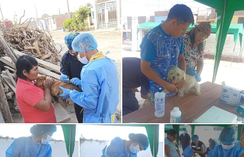 78 perros fueron atendidos en campaña de salud y bienestar animal en el sector San Martín de Retes, la Quincha y las&nbsp;Casuarinas