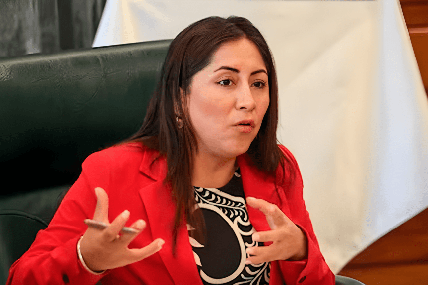 Fiscalía abre investigación contra Kelly Portalatino por presunto encubrimiento&nbsp;personal