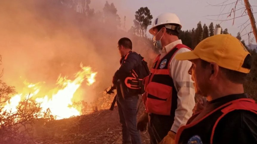 Existen penas para los que provocan incendios forestales, pero falta institucionalidad ambiental, advierte&nbsp;jurista