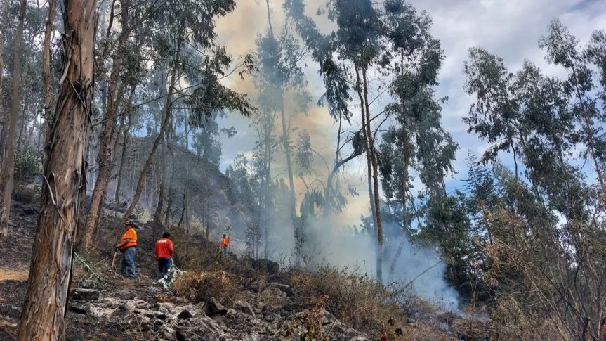 Extinguen 9 incendios forestales en Áncash, Apurímac, Cusco, La Libertad y&nbsp;Lima