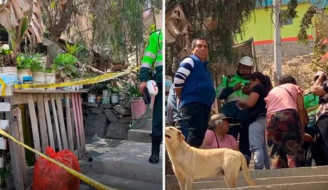 Triple homicidio en Ate: asesinan a madre y sus dos hijos tras brutal ataque en&nbsp;Huaycán